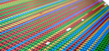 Image of DNA sequence