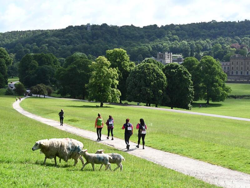 hikers in the peak district with sheep crossing the path