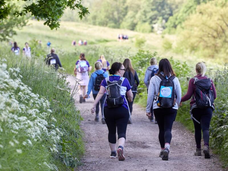 hikers in the countryside