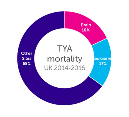 Young People's Cancers by Cancer Type Pie Chart, Average Number of Deaths per Year, Age 15-24, UK, 2014-2016