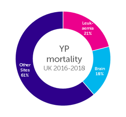 chart of young people's cancers mortality split into Leukaemia (21%), Brain (18%) and Other sites (61%)