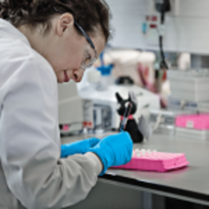 A CRUK scientist working in a lab