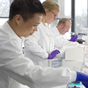 Three researchers working in a lab