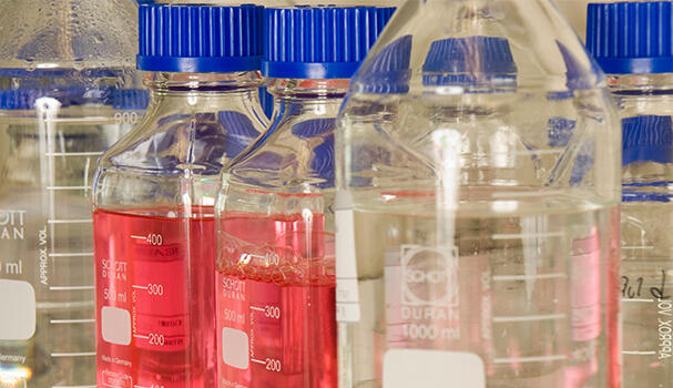 Bottles in a lab