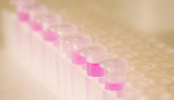Samples containing pink liquid
