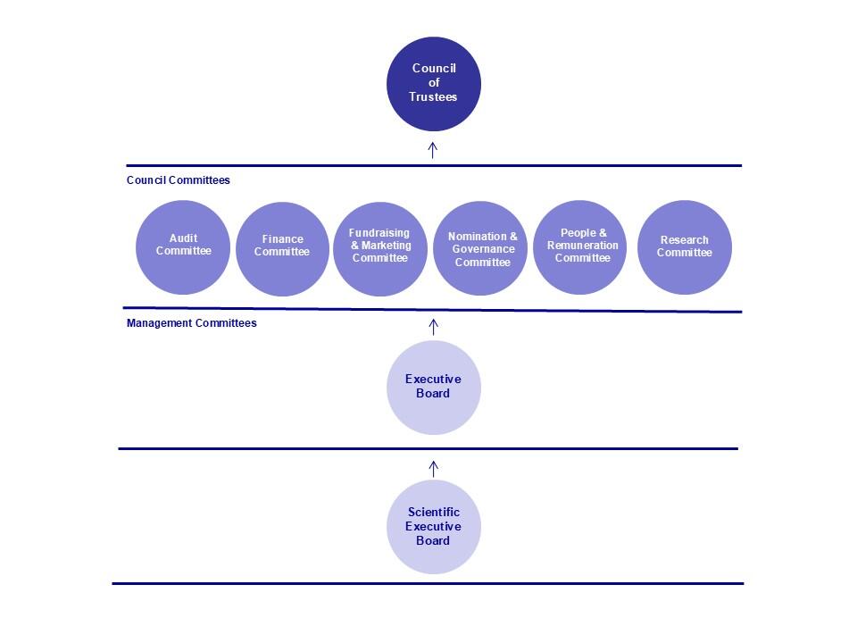 Council Committees