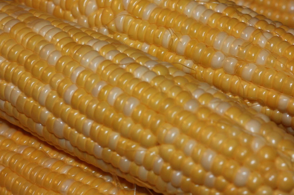 Corn