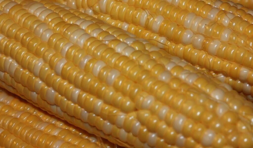 corn