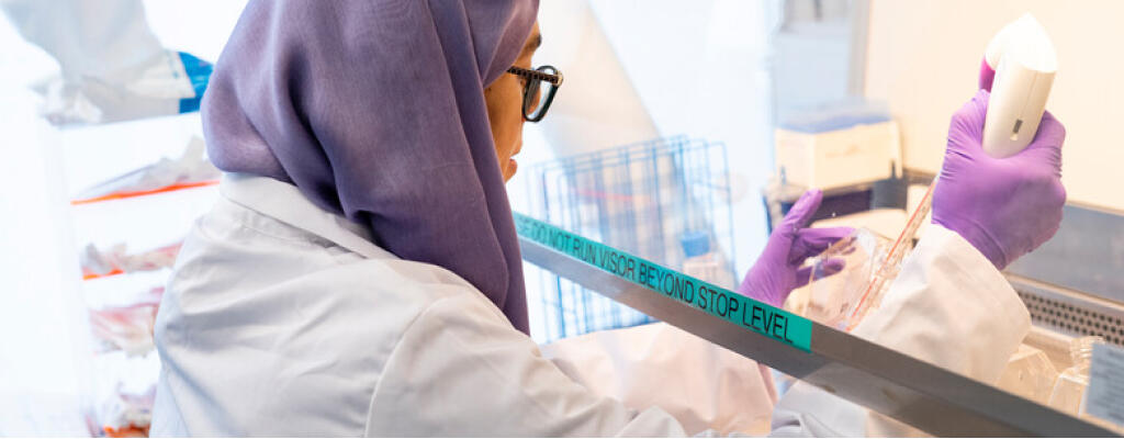 researcher working in a lab 