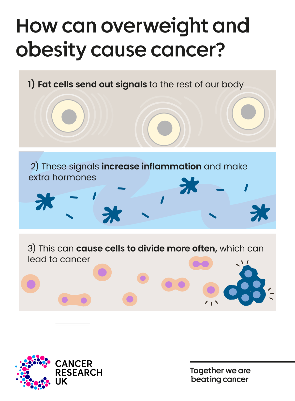 Obesity infographic