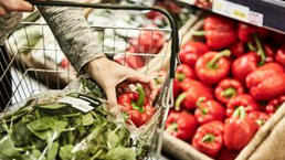 Person picking vegetables and putting them in a basket