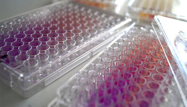 Samples in tubes in a lab