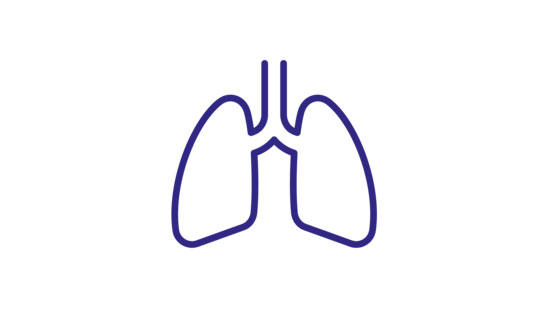 Lung Icon