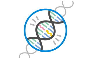 An illustration of a DNA strand