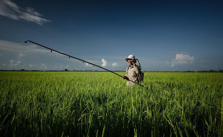 Man farming