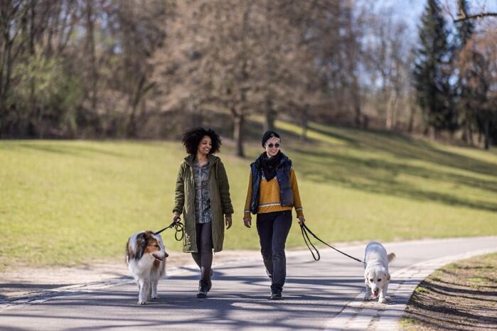 Two women walking their dogs