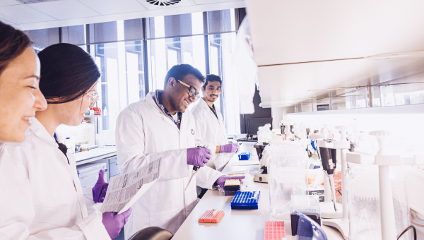 A group of researchers working in the lab