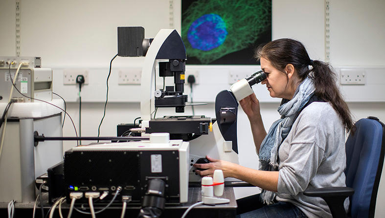 Scientist looking down a microscope