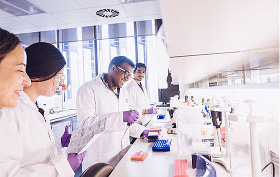 Photo of four researchers working together in a lab