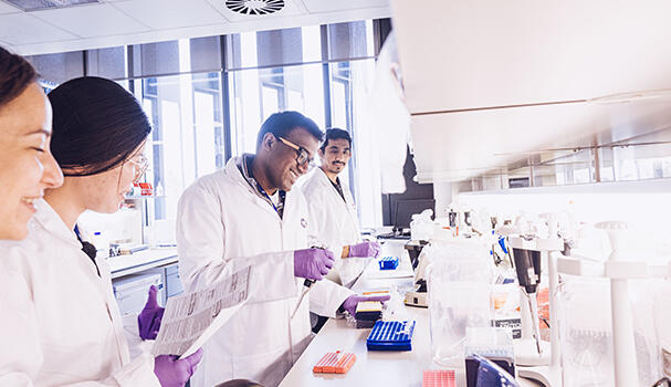 Researchers in a lab