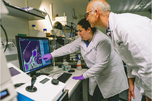 Two researchers looking at a cell image on screen