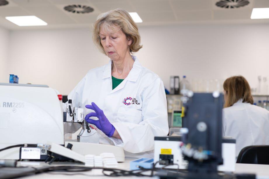 Researchers working in a lab