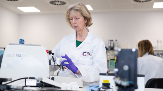 Researcher working in the lab