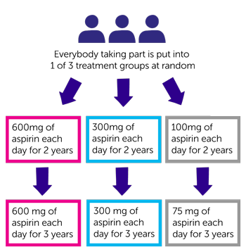 CAPP3 diagram