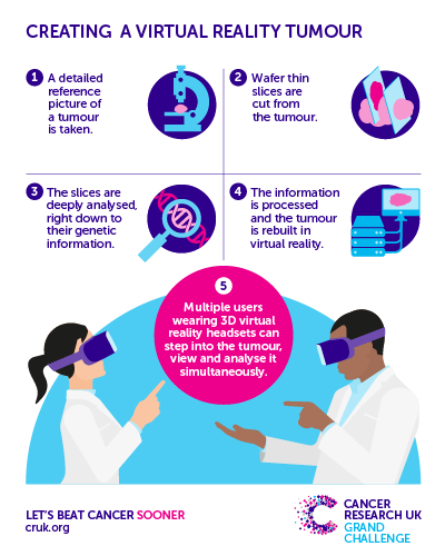 Greg Hannon Infographic
